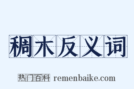 稠木反义词是什么意思的图片